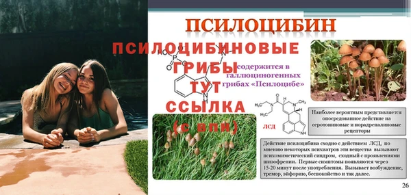 стаф Волоколамск