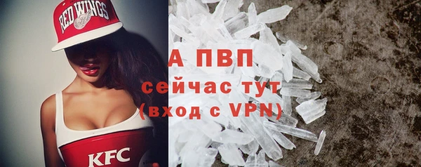 стаф Волоколамск