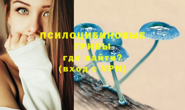 MESCALINE Волосово